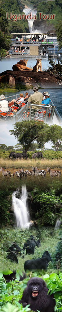 8 Days family Safari holidays in Uganda, Family safari tour