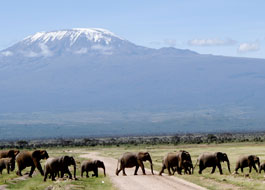 Attractions in Amboseli