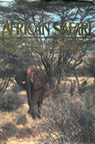 The African Safari by P Jay Fetner