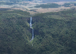 Aberdares National Park
