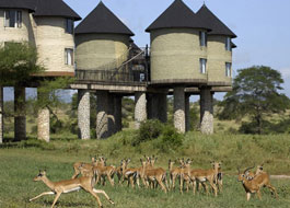 Tsavo  National Park