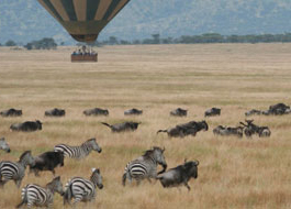 Masai Mara National Reserve