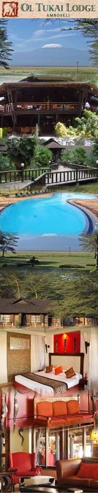 Safari Hotels in Amboseli,Ol Tukai Lodge