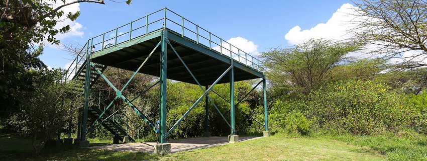 Mara Camp, Ilkeliani viewing area
