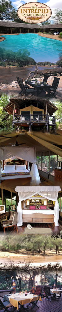  Safari Hotels in Samburu, Samburu Intrepids