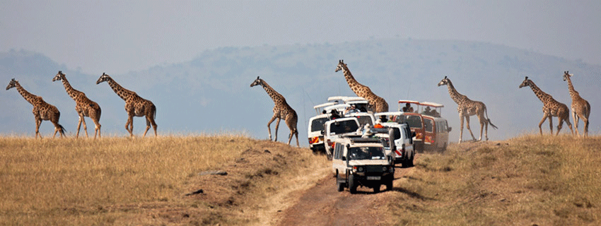 combined beach and safari honeymoon in Tanzania
