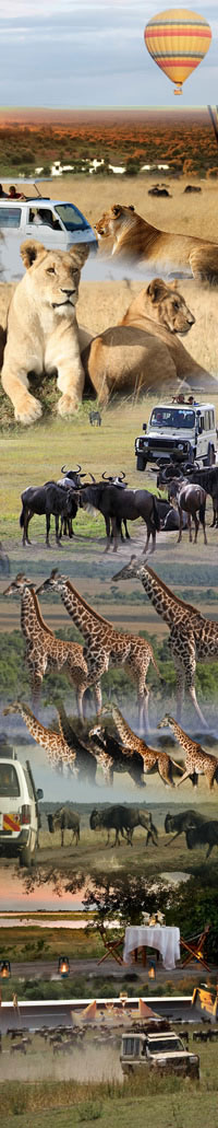 Africa Safari Holidays