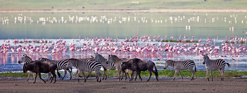 safari holiday in Ngorongoro